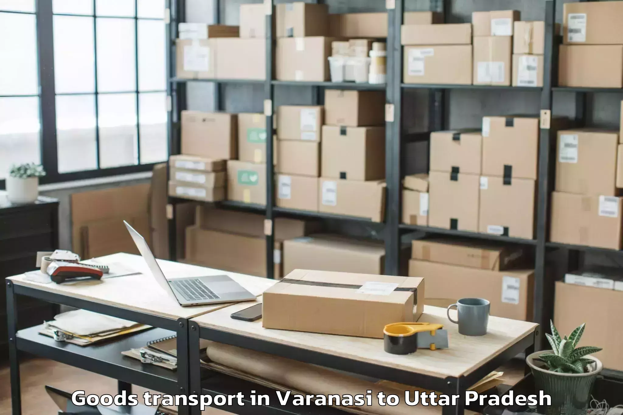 Professional Varanasi to Lakhna Goods Transport